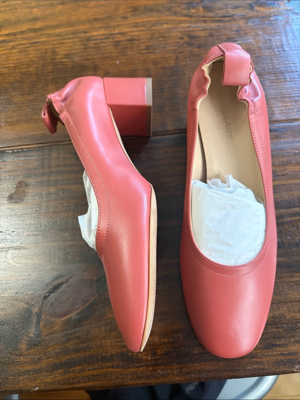 Everlane Day Heel Leather Pumps